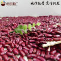 Bean kindey haricot rouge foncé à vendre impulsions